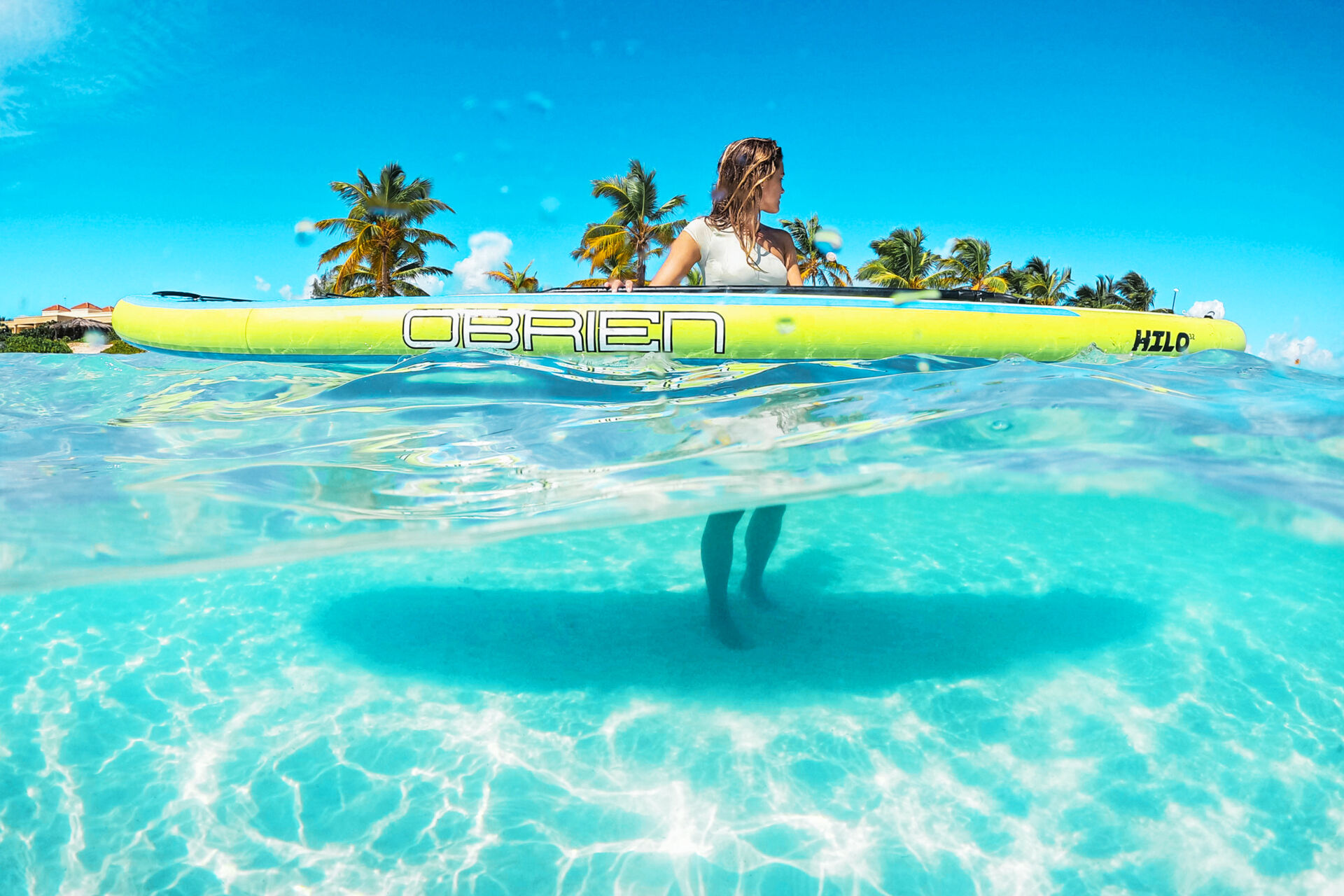 Beach Monkey