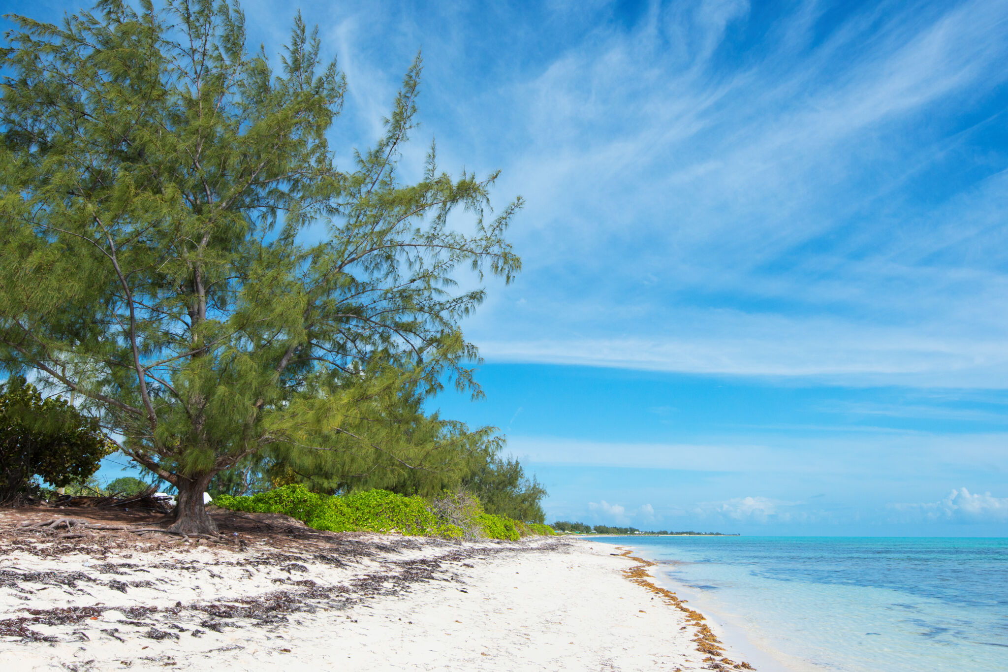 Blue Hills Beach