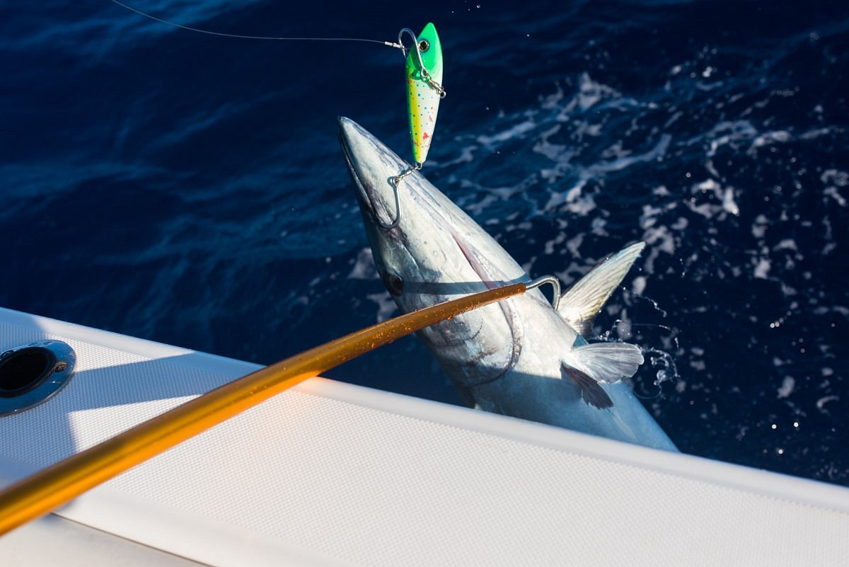 Deep Blue Charters