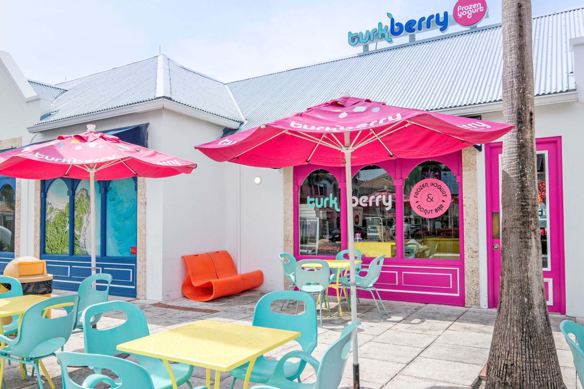 Turkberry Frozen Yogurt & Donut Bar