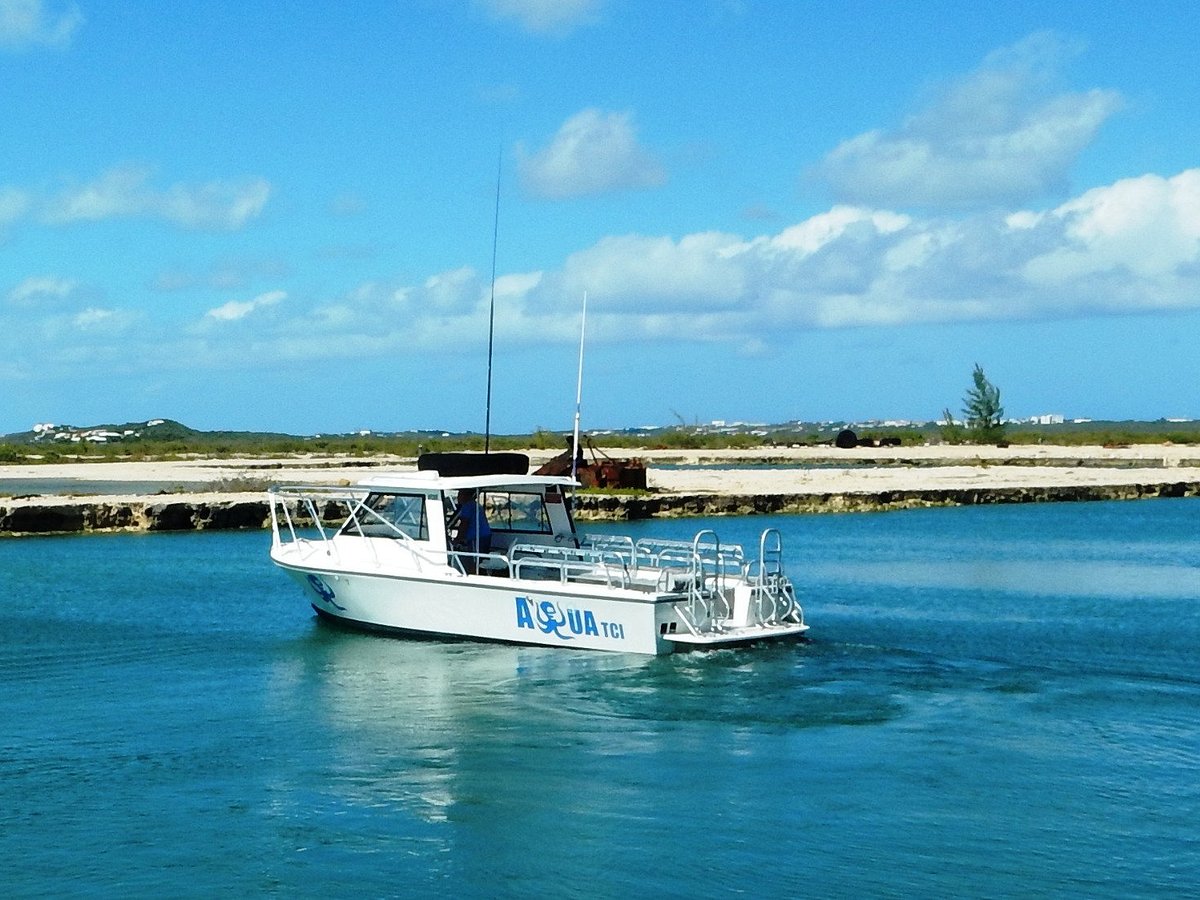 Aqua TCI