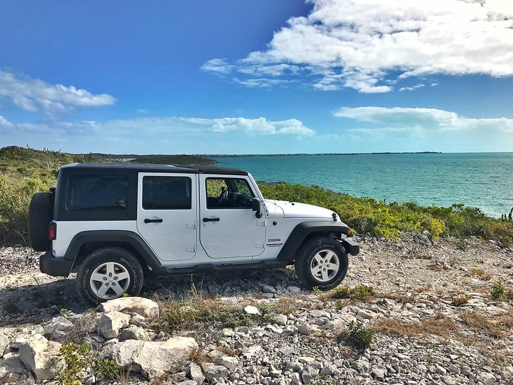 Bolt Rental Car