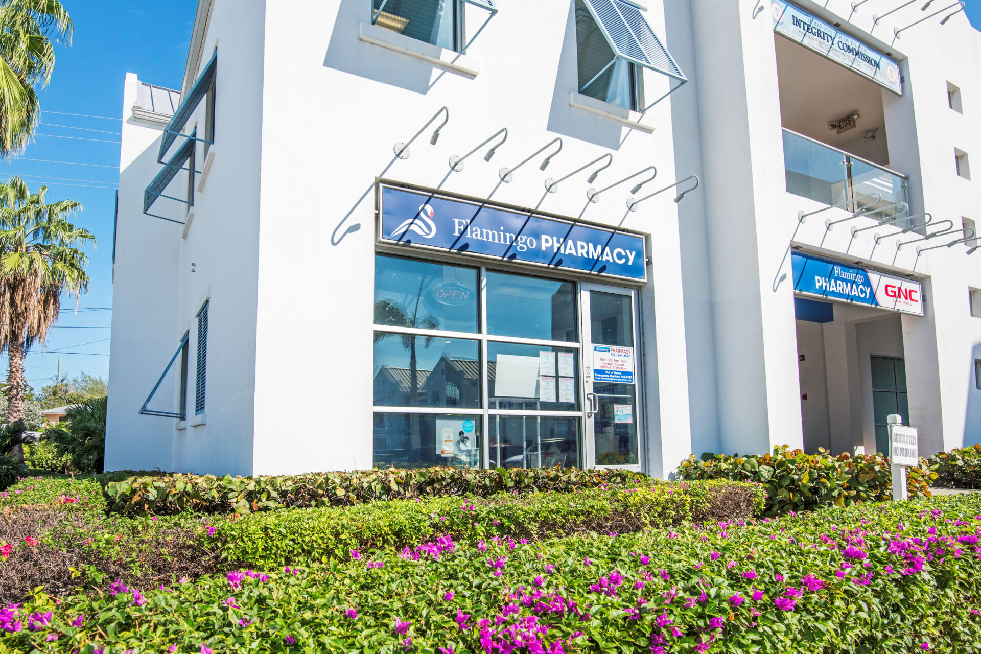 Flamingo Pharmacy