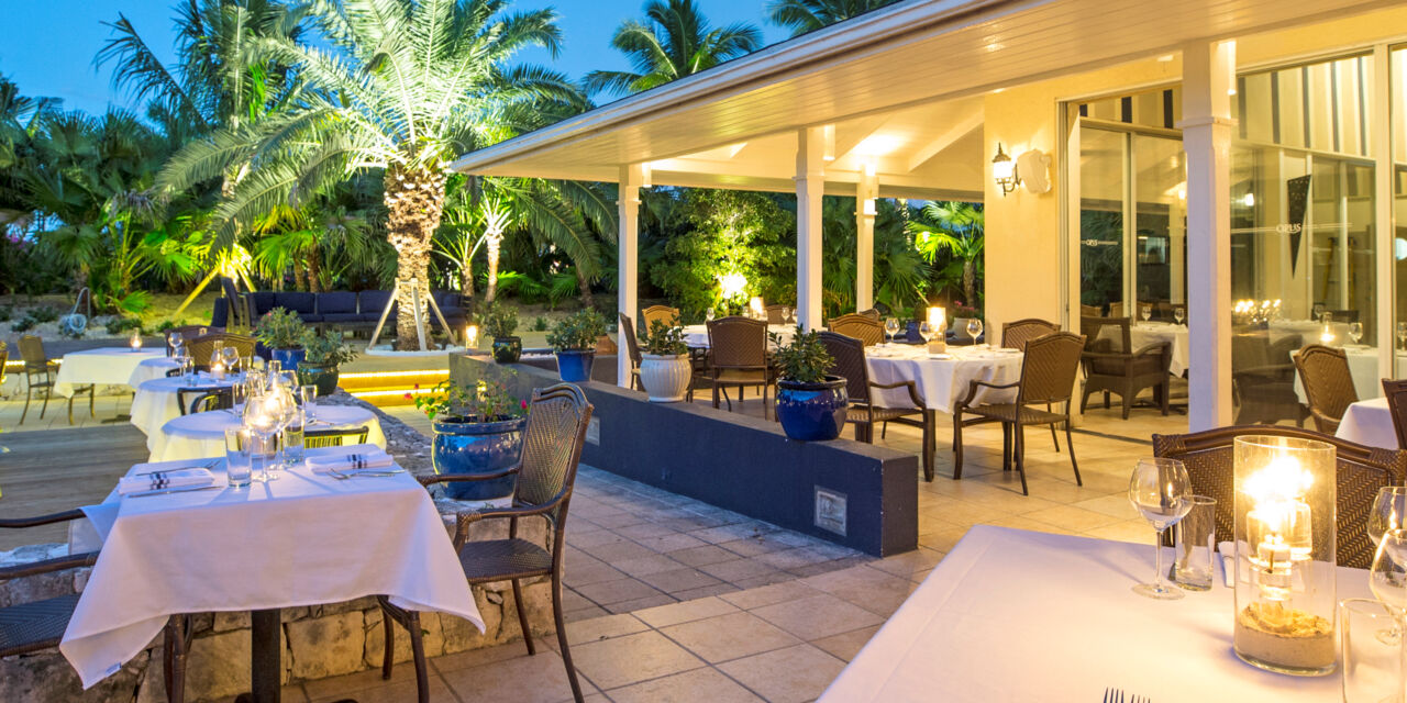 Opus Wine Bar & Grill