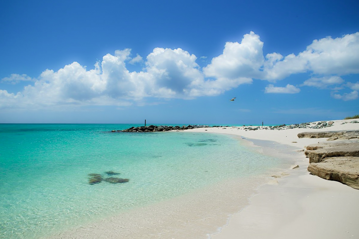 Pelican Beach