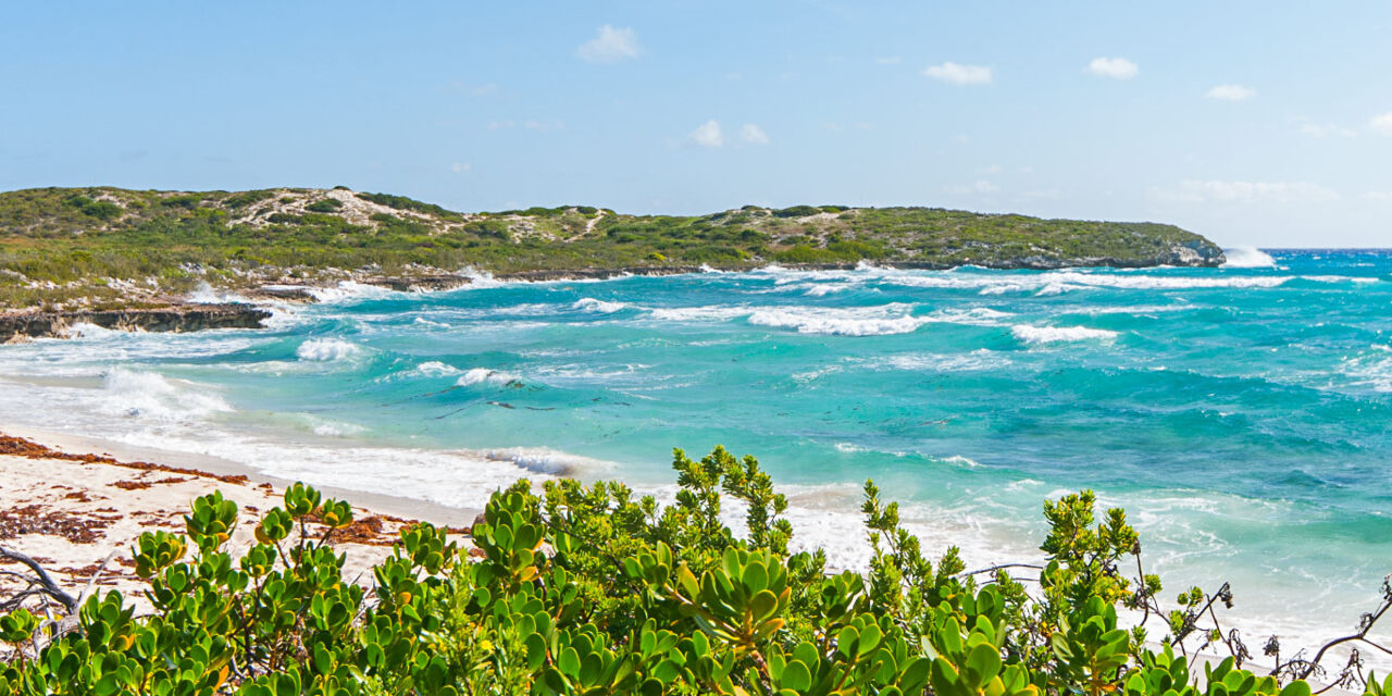Shark Bay