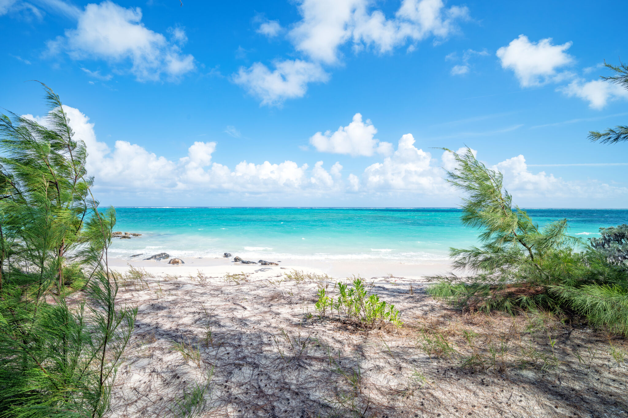 Hollywood Beach